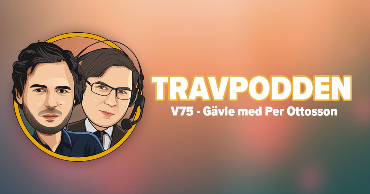 Travpodden