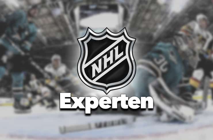 NHL Experten bild