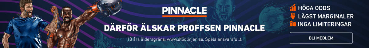 Pinnacle Sports Banner