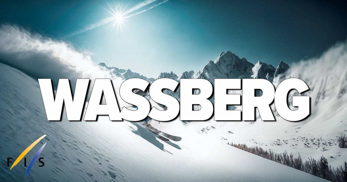 Wassberg Skidor Fristil FIS